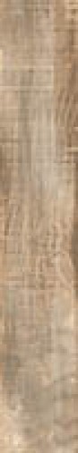 BIRCHWOOD FOREST 20X120 Κωδικός 92121017